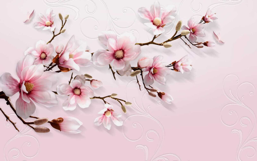 Magnolia sobre rosa suave — diseño completo