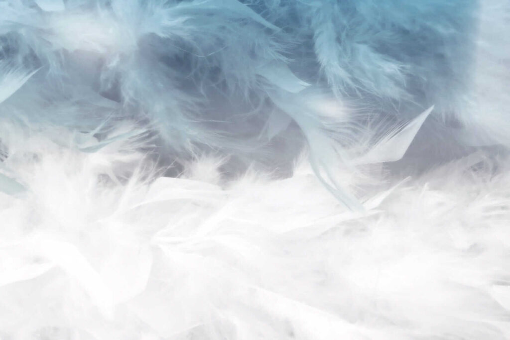 Plumas en niebla azul — diseño completo