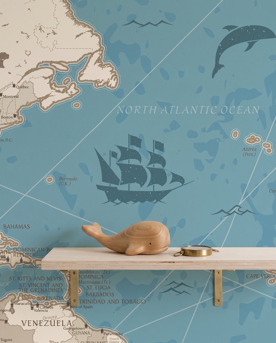 Mapa del mundo — detalle