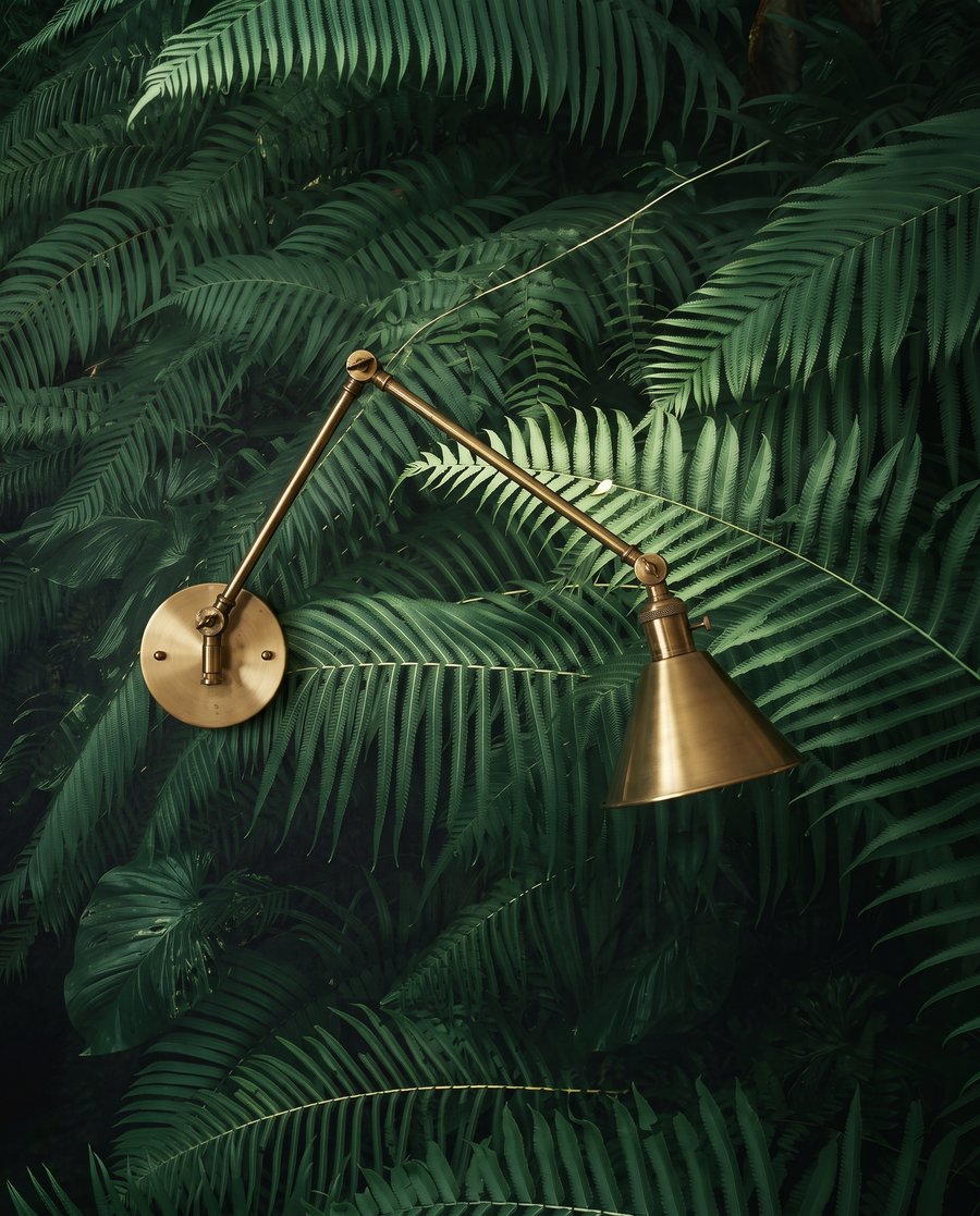 Entre helechos verdes — detalle