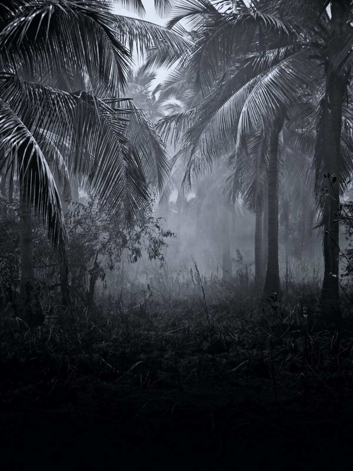 Sendero en la niebla — diseño completo