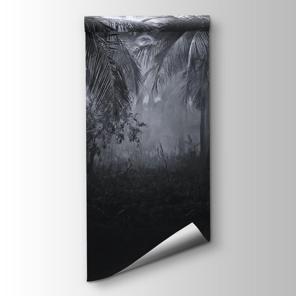 Sendero en la niebla — vista del producto