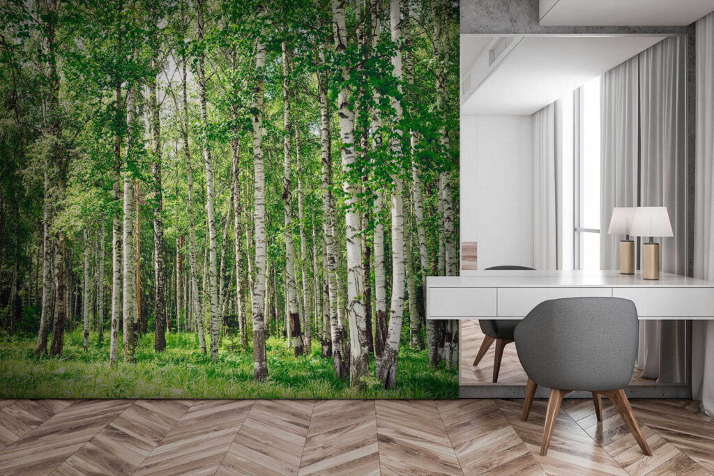 Abedules sobre hierba verde — interior 2