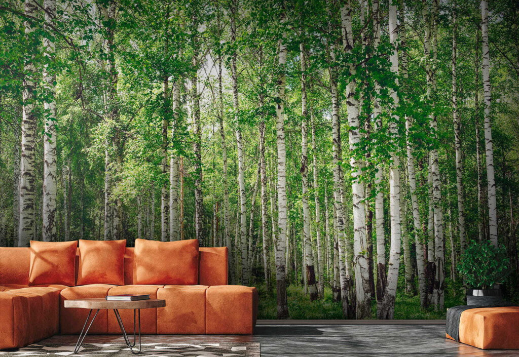 Abedules sobre hierba verde — interior 1