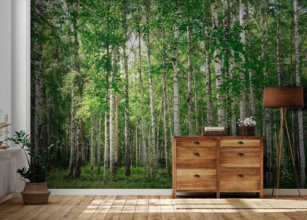 Abedules sobre hierba verde — interior 5