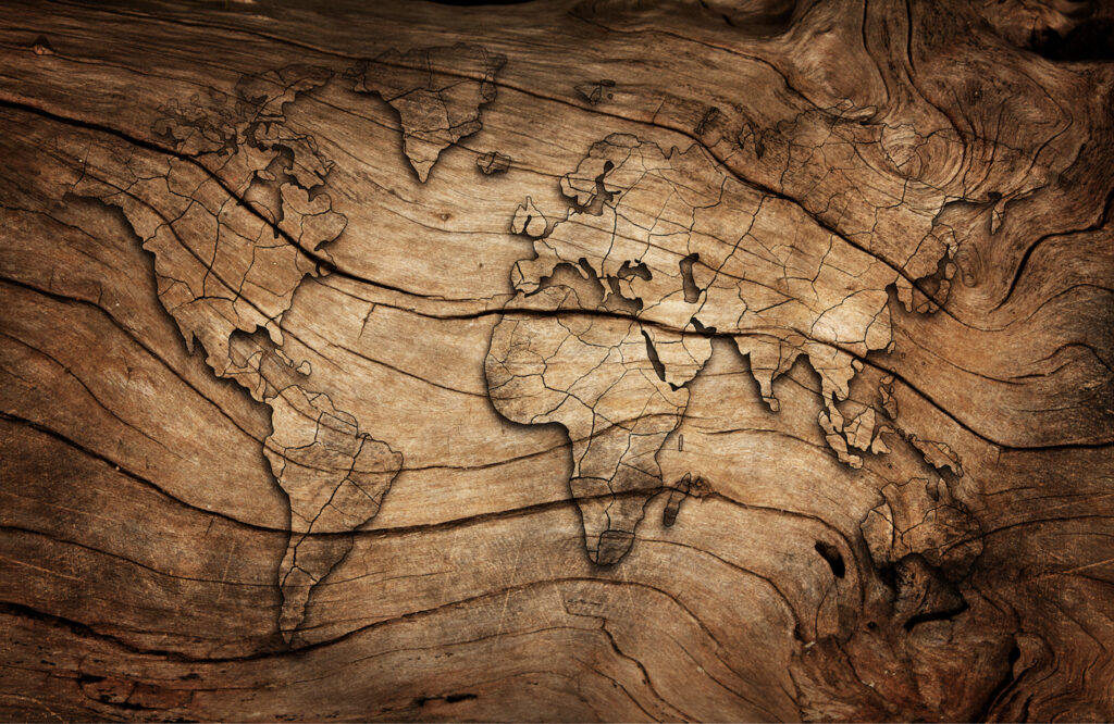 Mapa mundi entre vetas — diseño completo