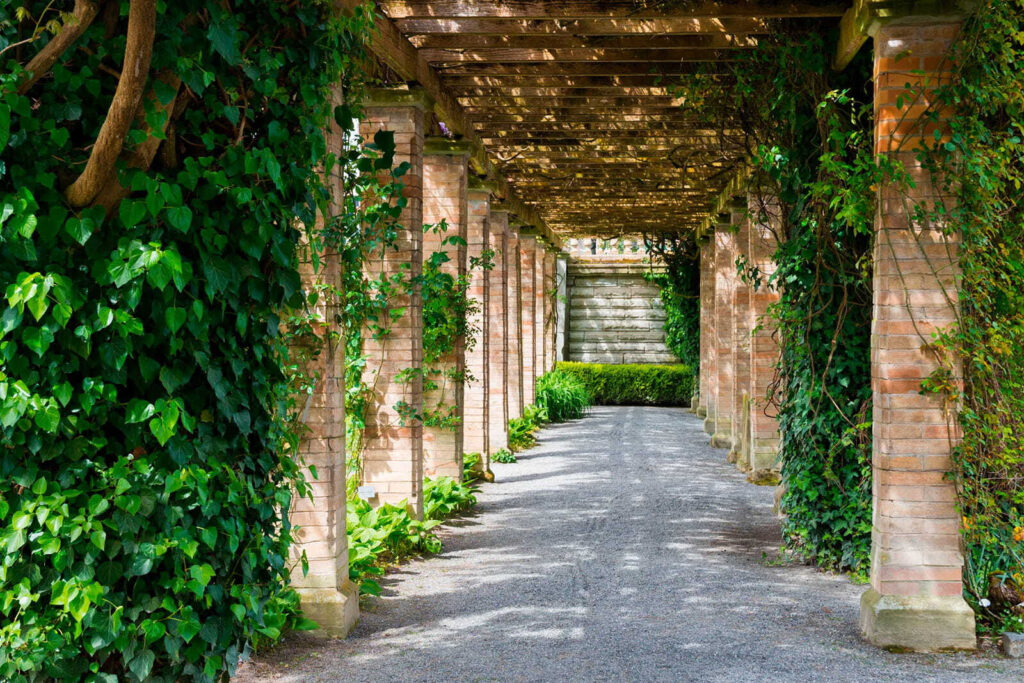 Camino bajo la pérgola — diseño completo
