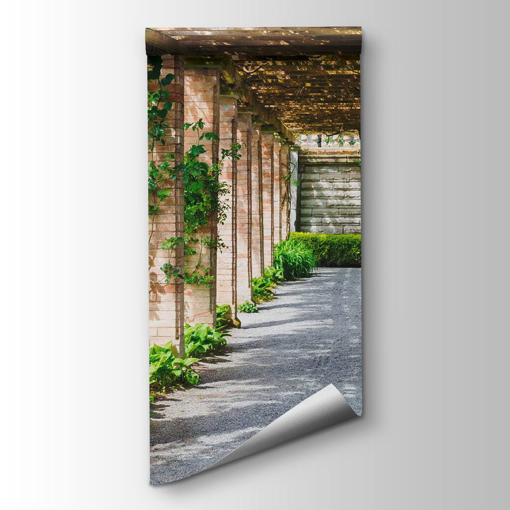 Camino bajo la pérgola — vista del producto