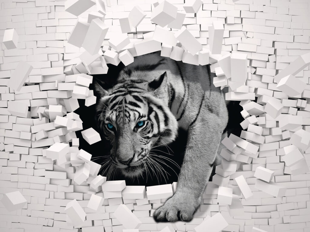 Tigre atravesando la pared — diseño completo