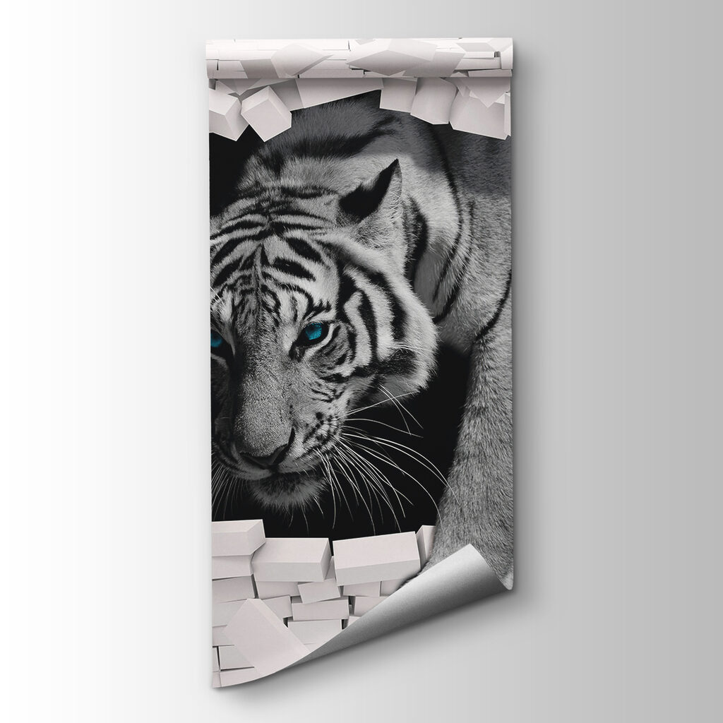 Tigre atravesando la pared — vista del producto