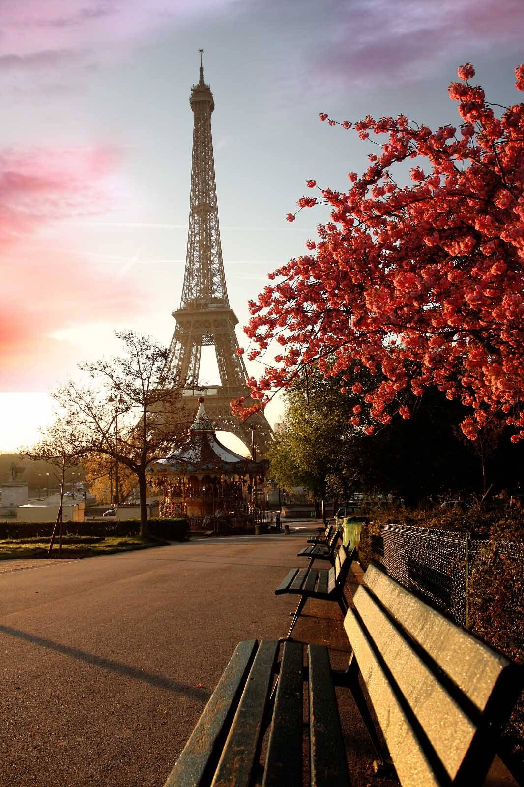 Torre Eiffel en otoño — diseño completo