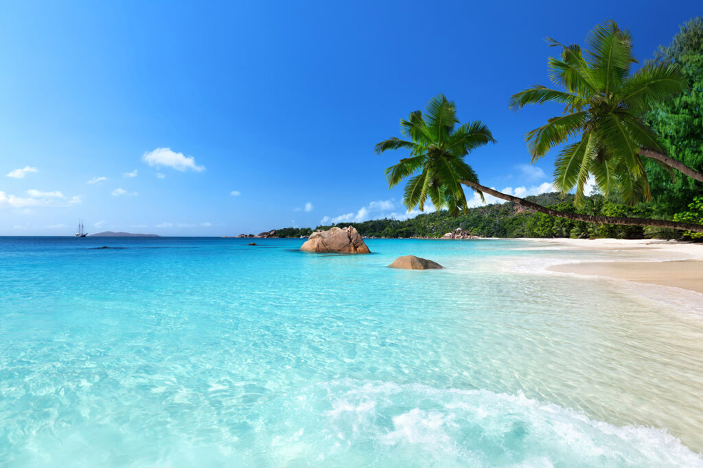 Agua cristalina y palmeras — diseño completo