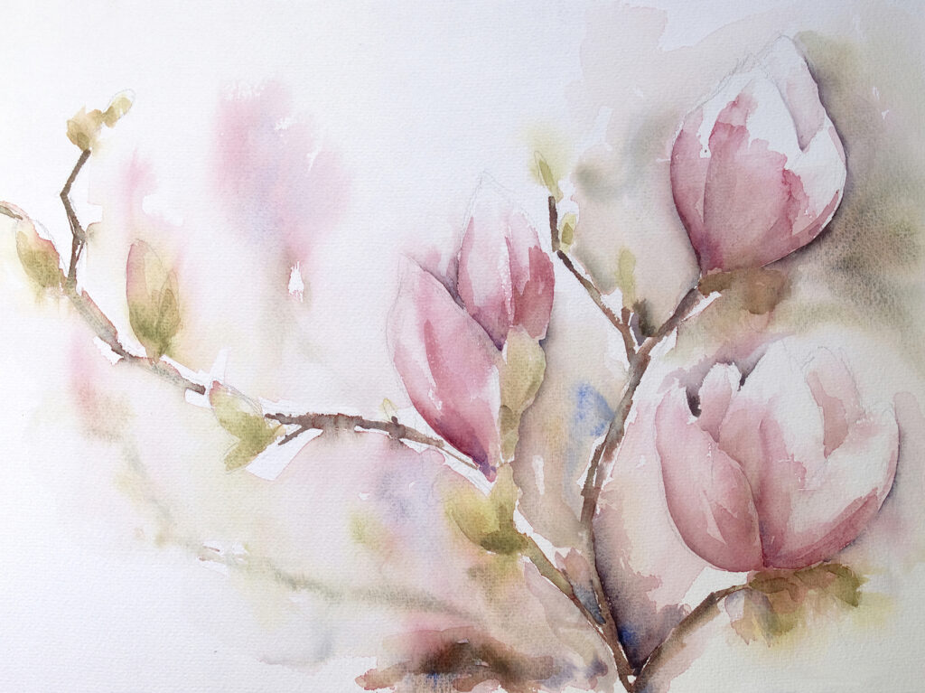 Magnolia en acuarela rosa — diseño completo