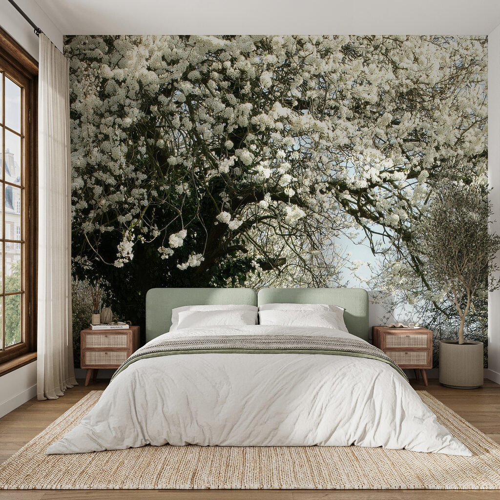 Camino bajo flores blancas — interior 3