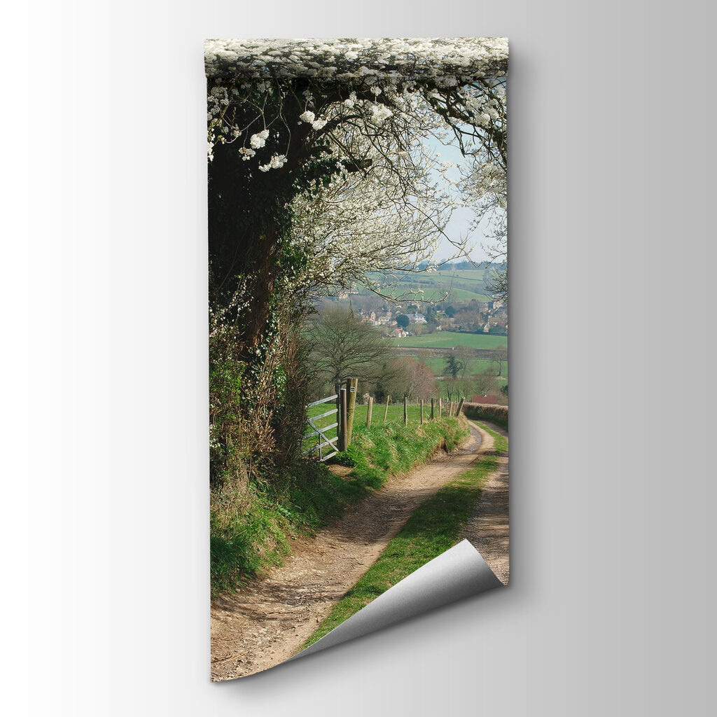 Camino bajo flores blancas — vista del producto