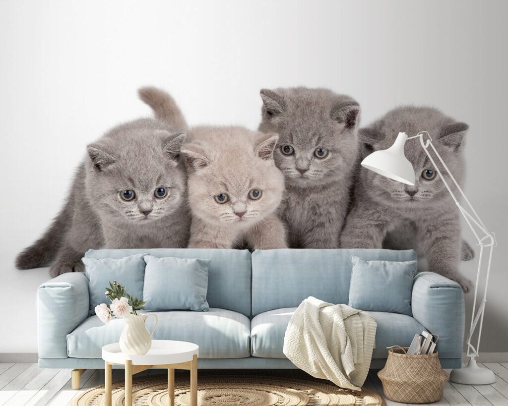 Cuatro gatitos curiosos en un interior