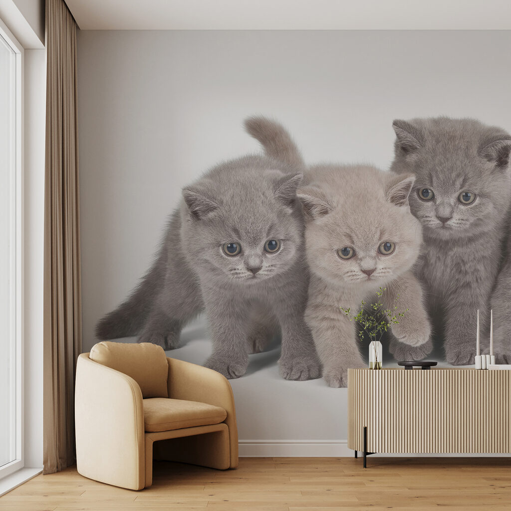 Cuatro gatitos curiosos — interior 3