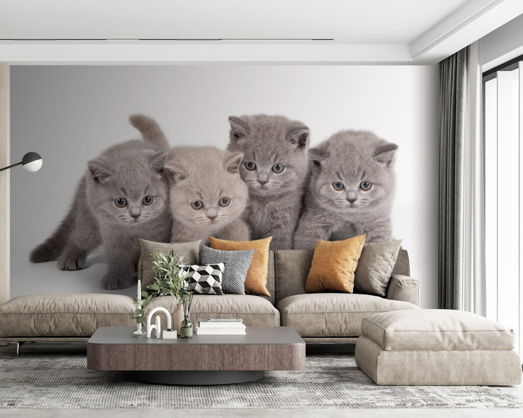 Cuatro gatitos curiosos — interior 2