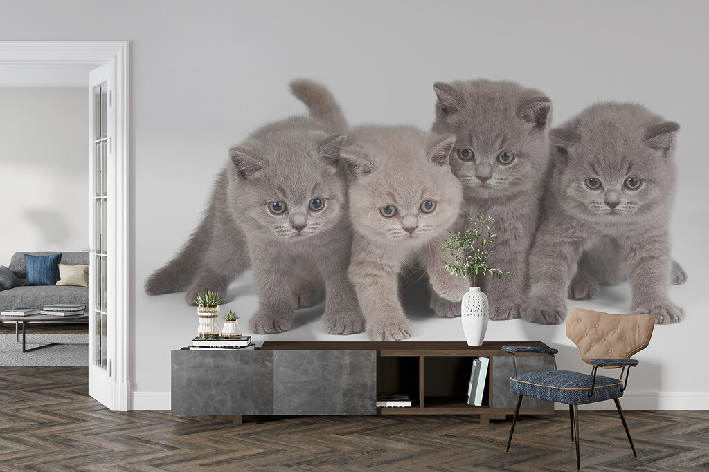 Cuatro gatitos curiosos — interior 4