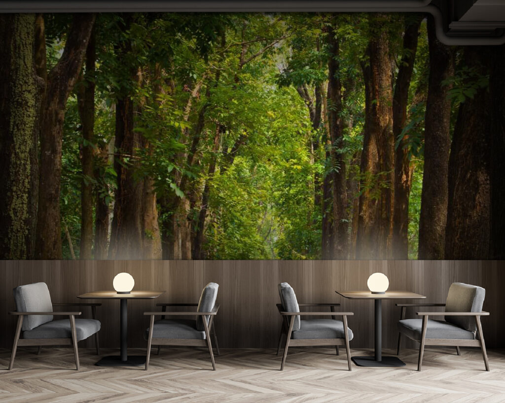 Avenida de árboles — interior 1
