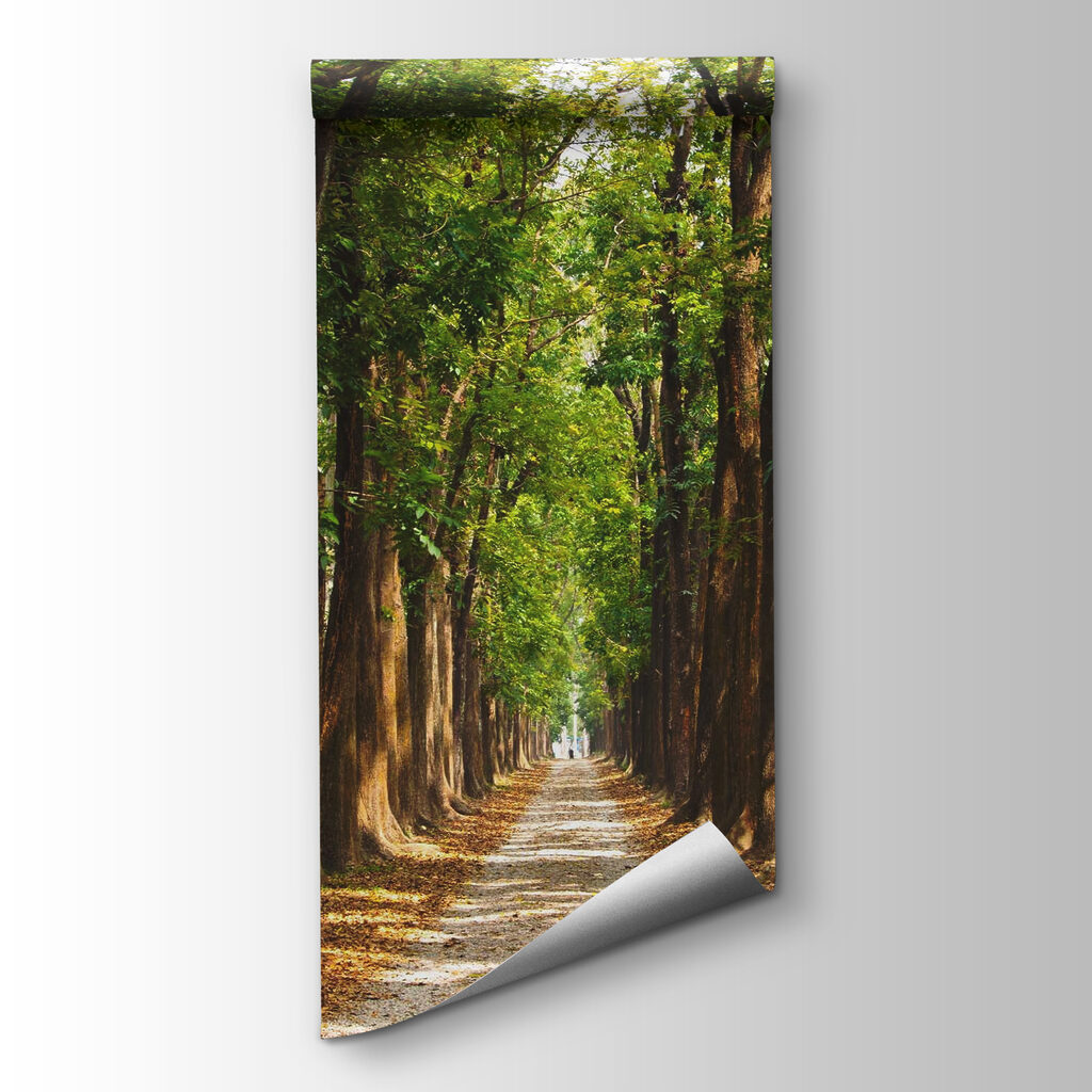 Avenida de árboles — vista del producto