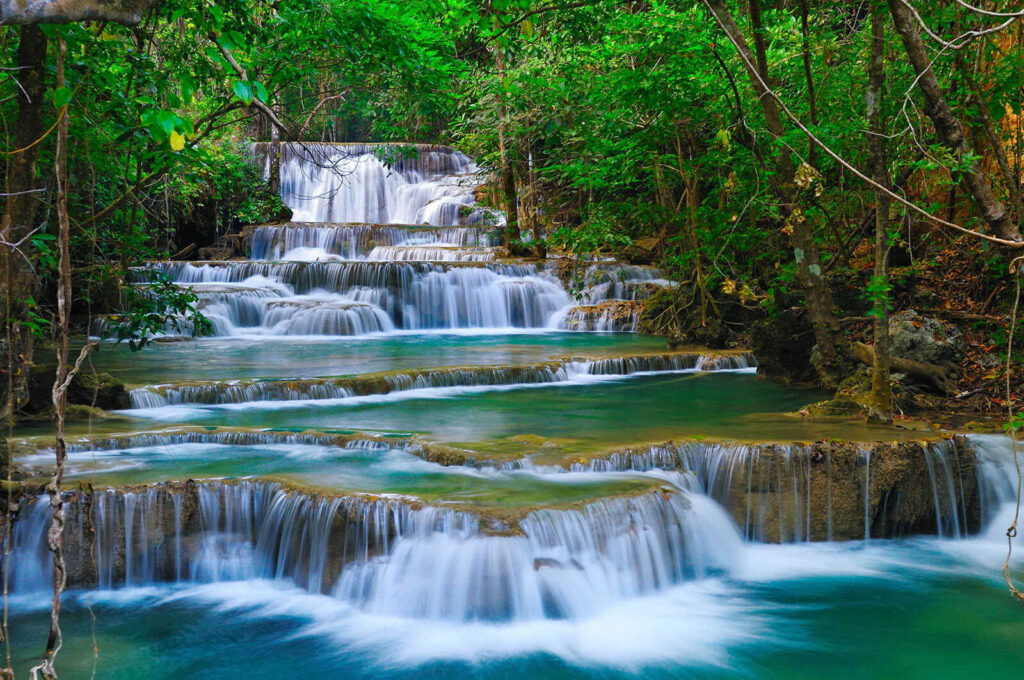 Cascada escalonada del bosque — diseño completo
