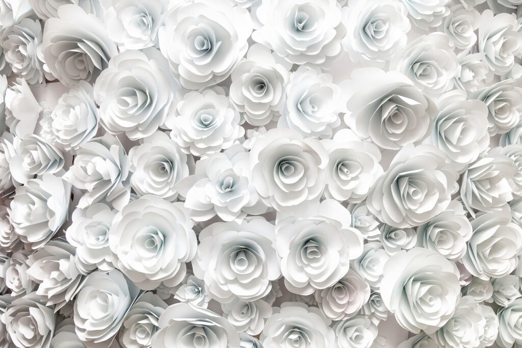 Rosas blancas muy juntas — diseño completo