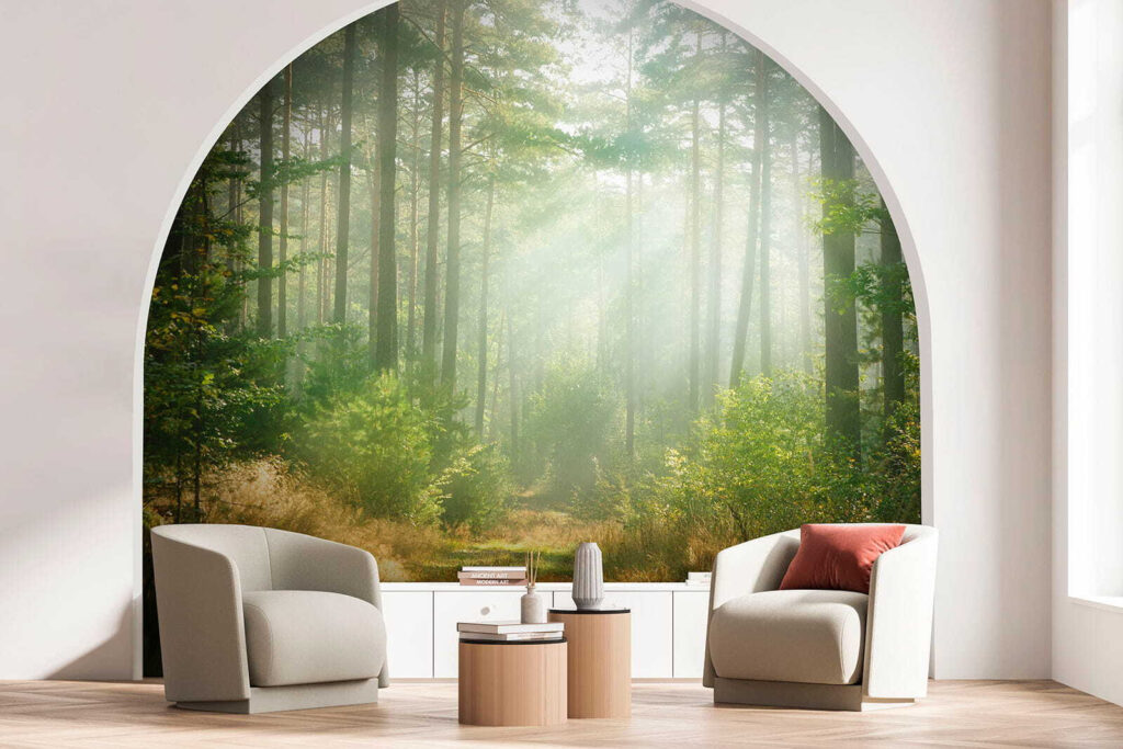 Luz entre troncos altos — interior 1