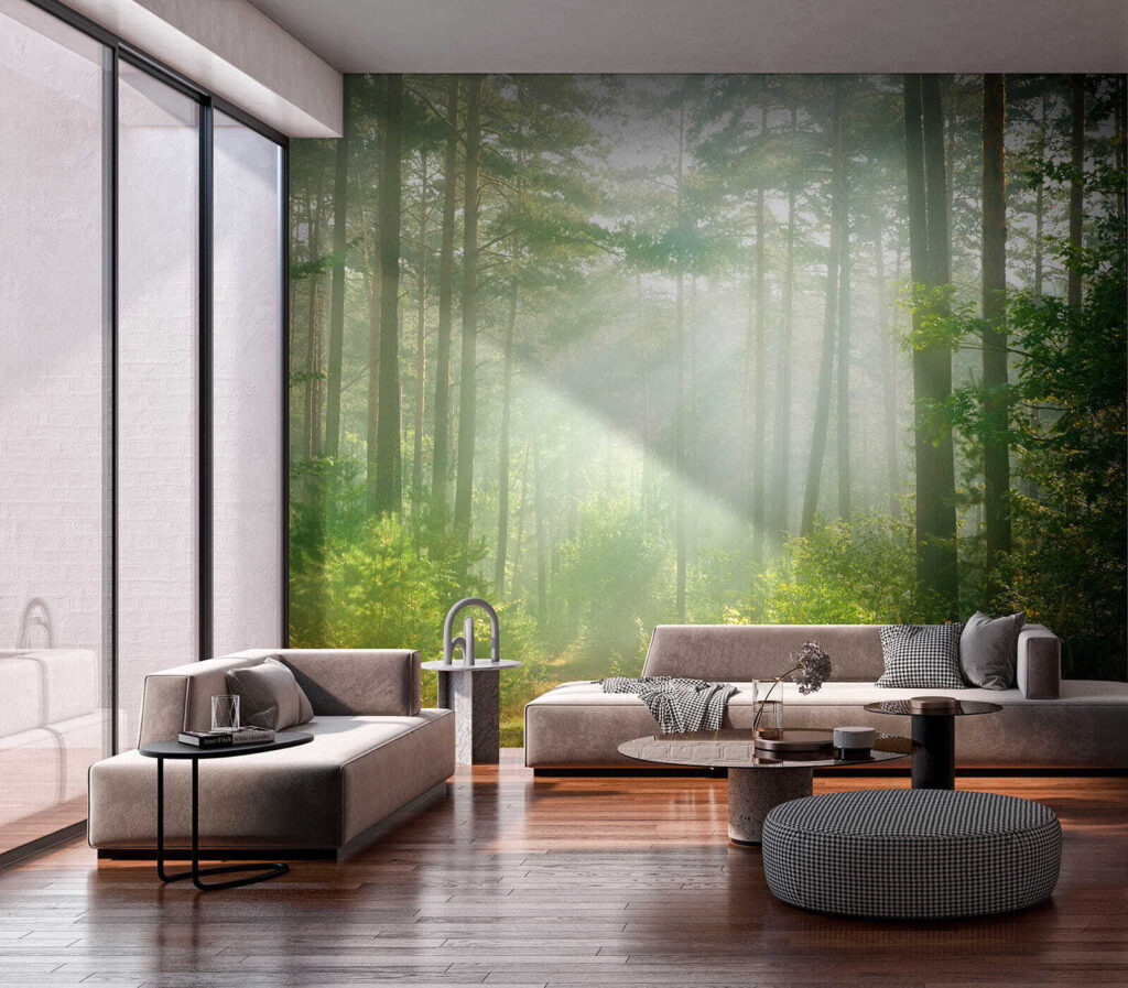 Luz entre troncos altos — interior 9