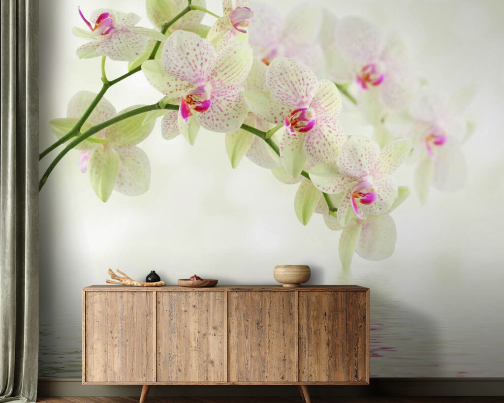 Orquídeas sobre el agua — interior 2