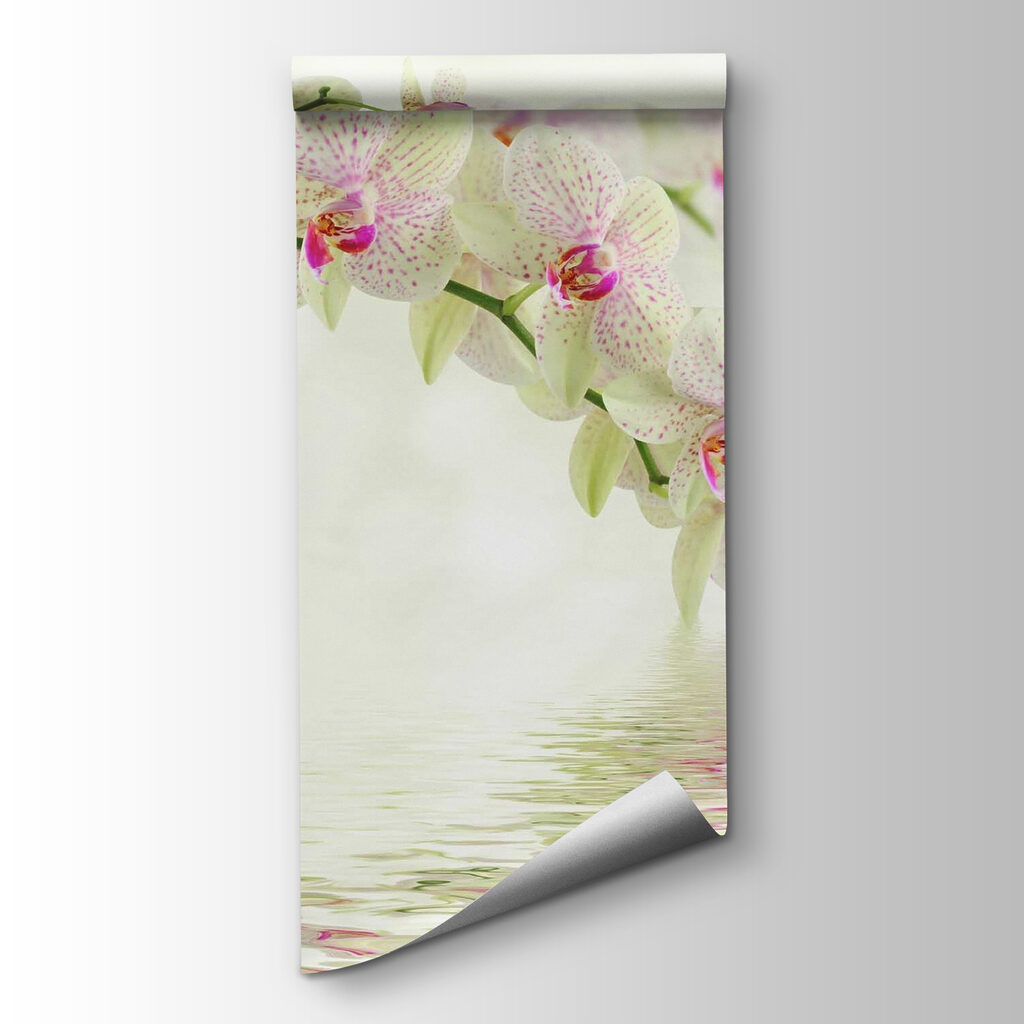 Orquídeas sobre el agua — vista del producto