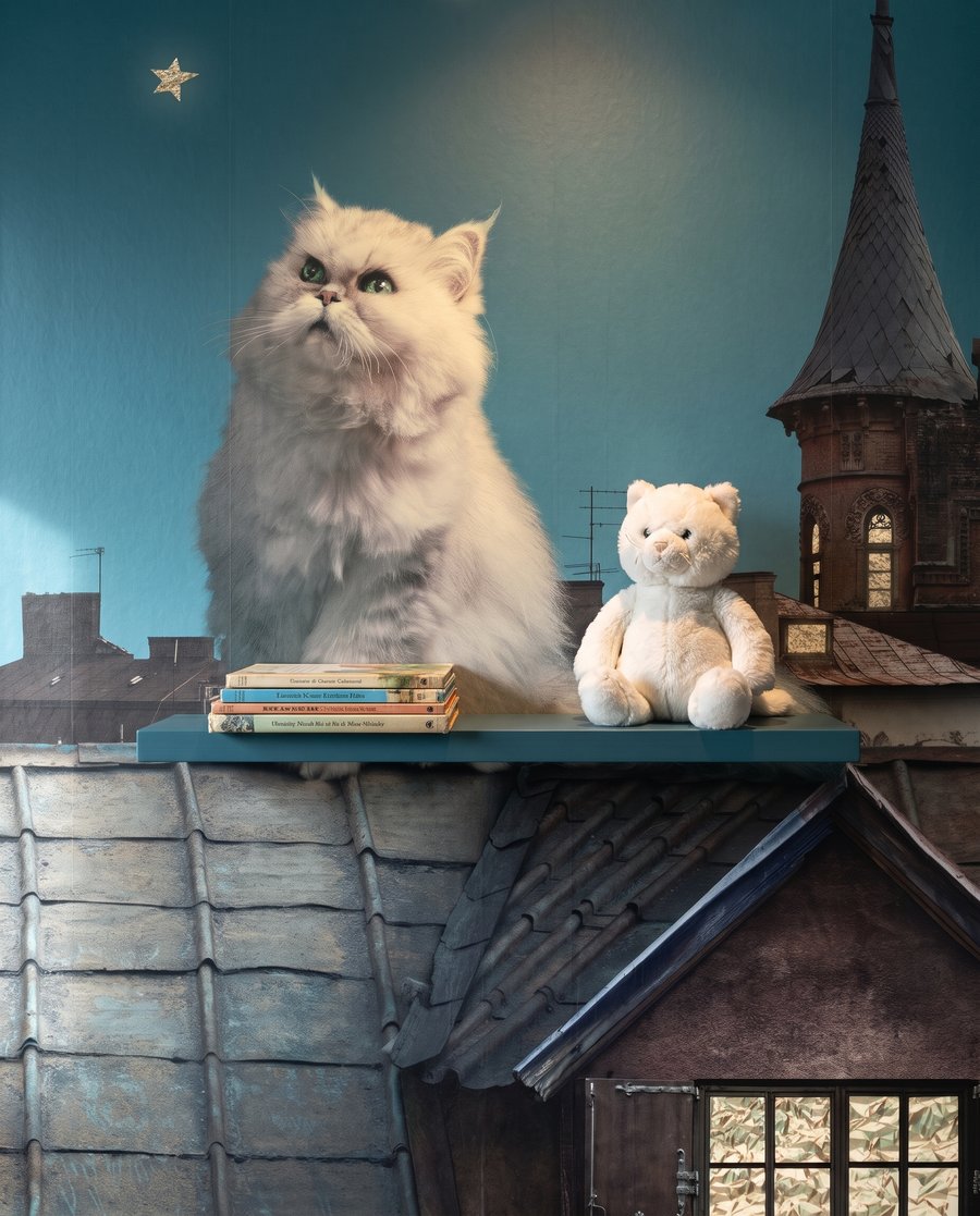 Gato entre estrellas — detalle