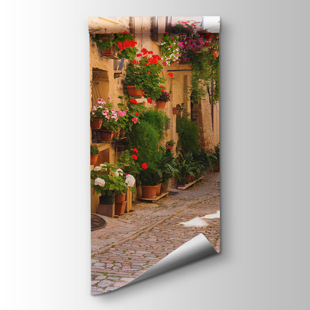 Calle estrecha con macetas — vista del producto