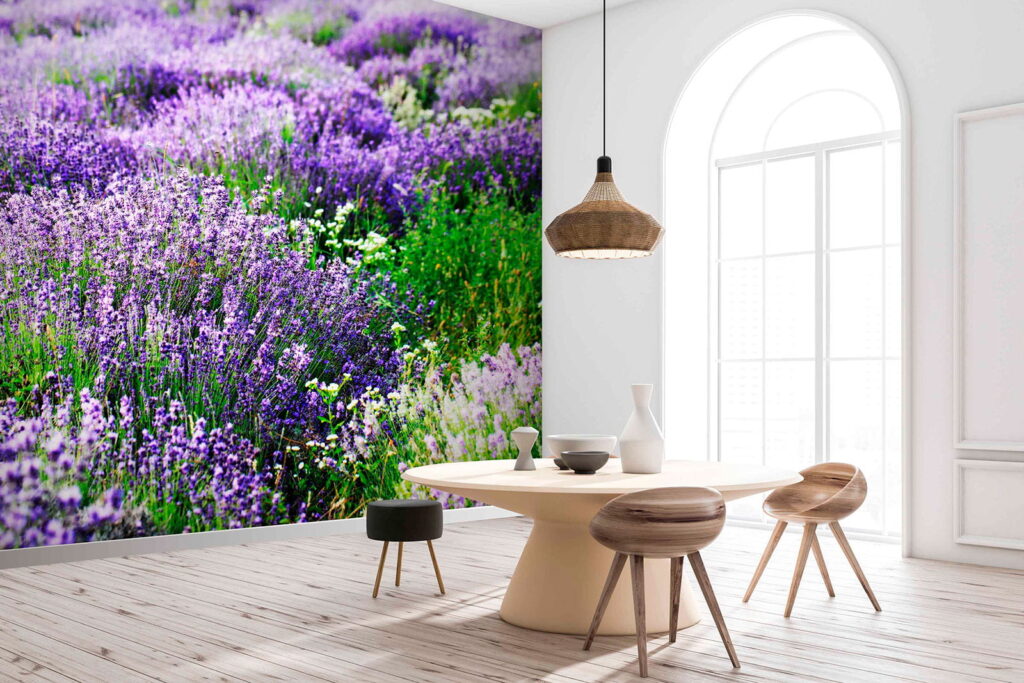 Lavanda en hileras onduladas — interior 1