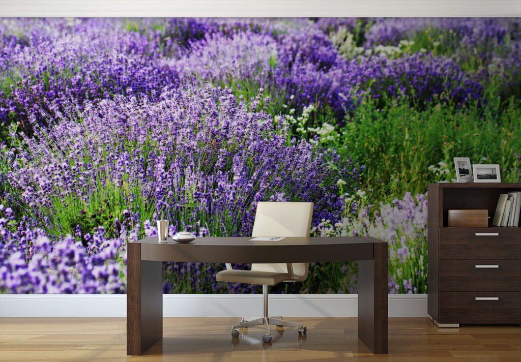 Lavanda en hileras onduladas — interior 2