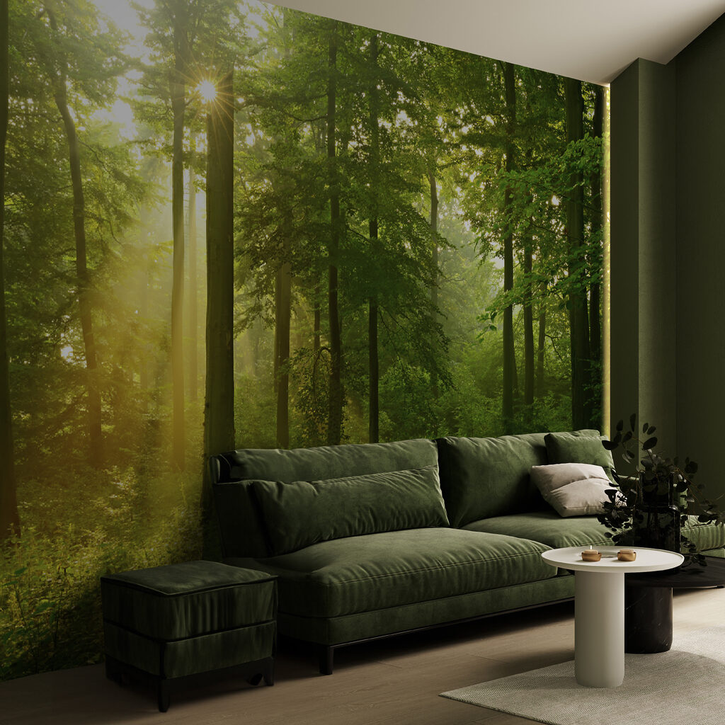 Luz dorada del bosque — interior 5