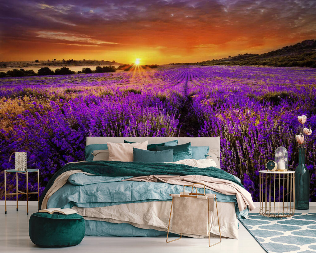 Lavanda bajo sol naranja — interior 2