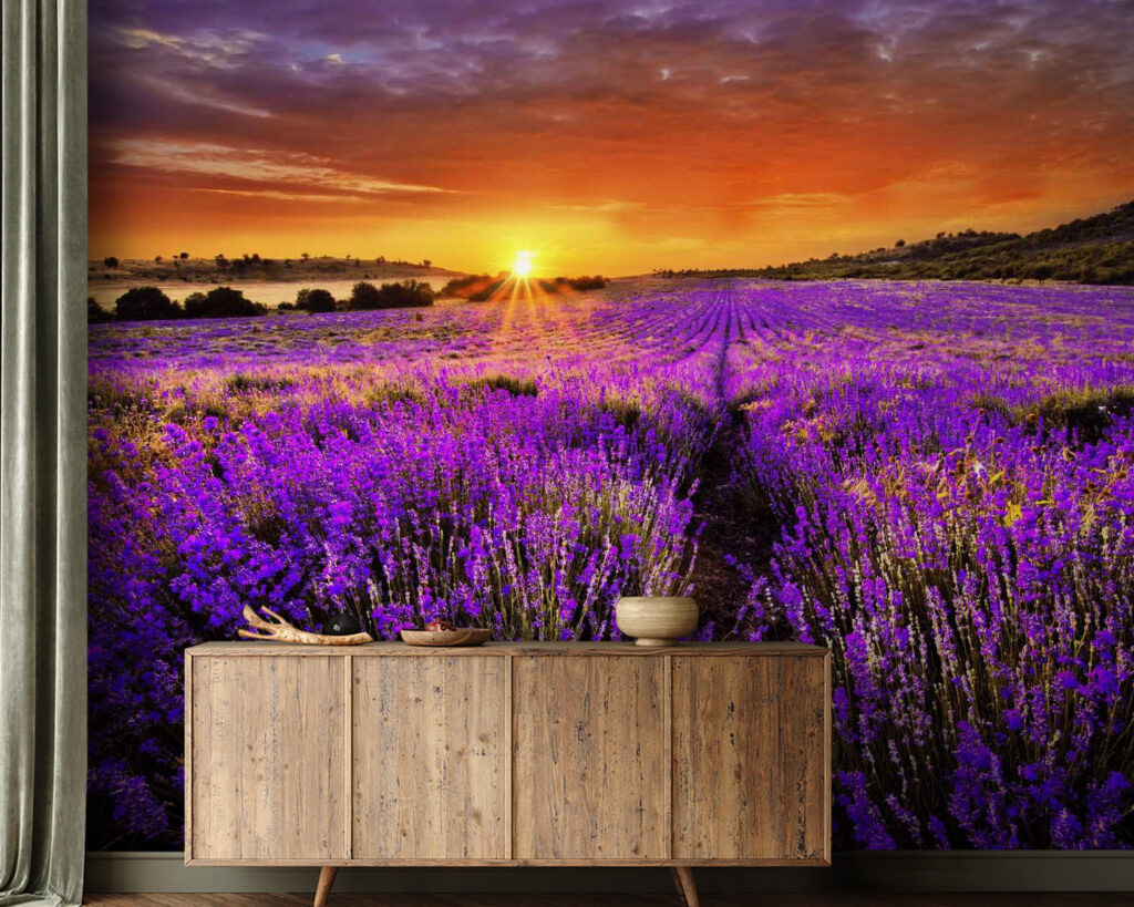 Lavanda bajo sol naranja — interior 1