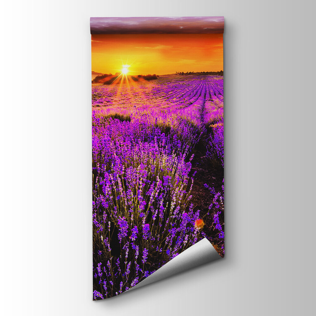 Lavanda bajo sol naranja — vista del producto