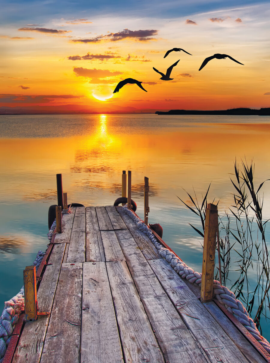 Gaviotas sobre el muelle — diseño completo