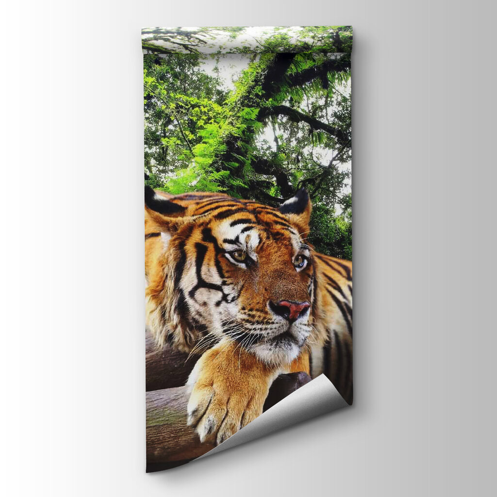 Tigre descansa entre ramas — vista del producto
