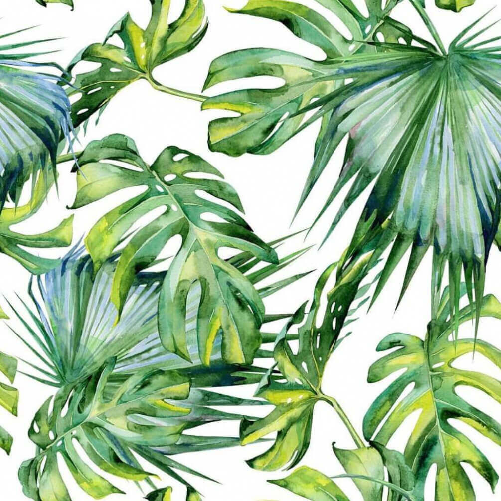 Palmas verdes en blanco — diseño completo