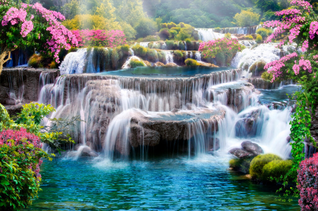 Cascada entre arbustos rosas — diseño completo