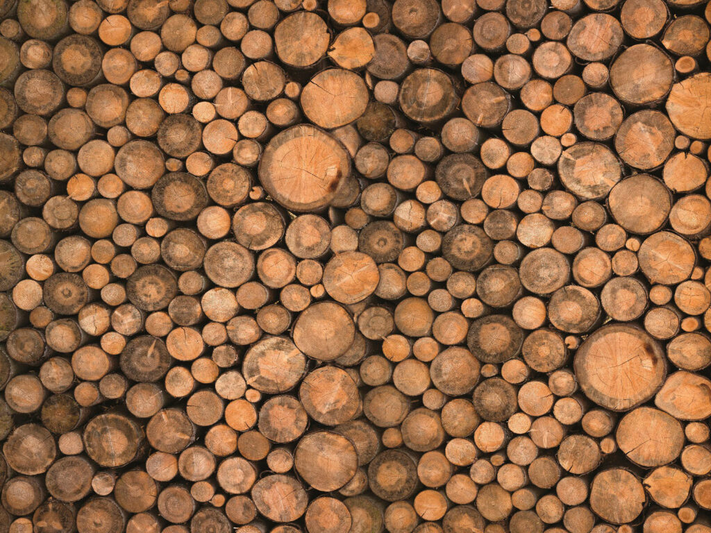 Rodajas de madera — diseño completo