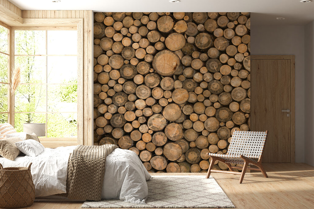 Rodajas de madera — interior 6