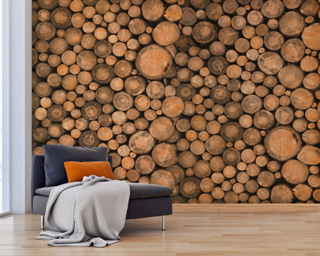 Rodajas de madera — interior 3