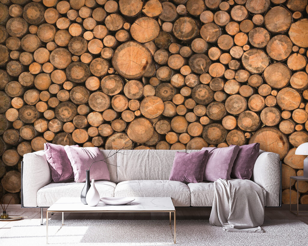 Rodajas de madera — interior 5