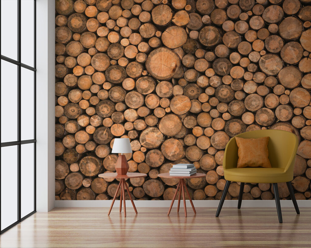 Rodajas de madera — interior 4