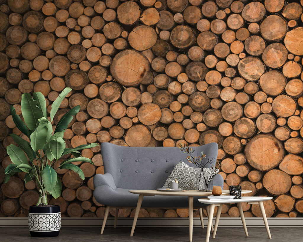 Rodajas de madera — interior 1