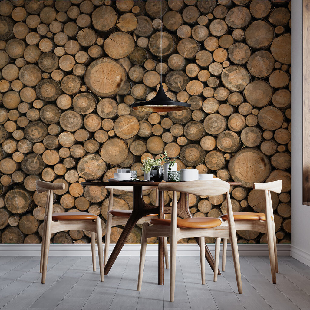 Rodajas de madera — interior 7